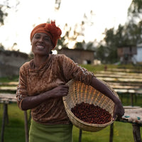 Ethiopia Malawo Boreta Woyo