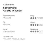 Colombia Santa Maria Geisha Washed