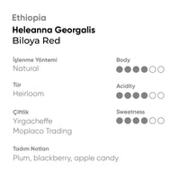 Ethiopia Heleanna Georgalis Biloya Red