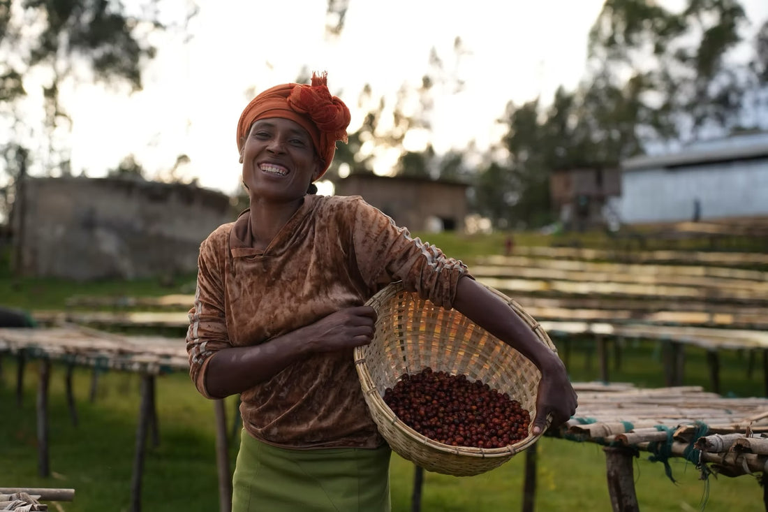 Ethiopia Malawo Boreta Woyo