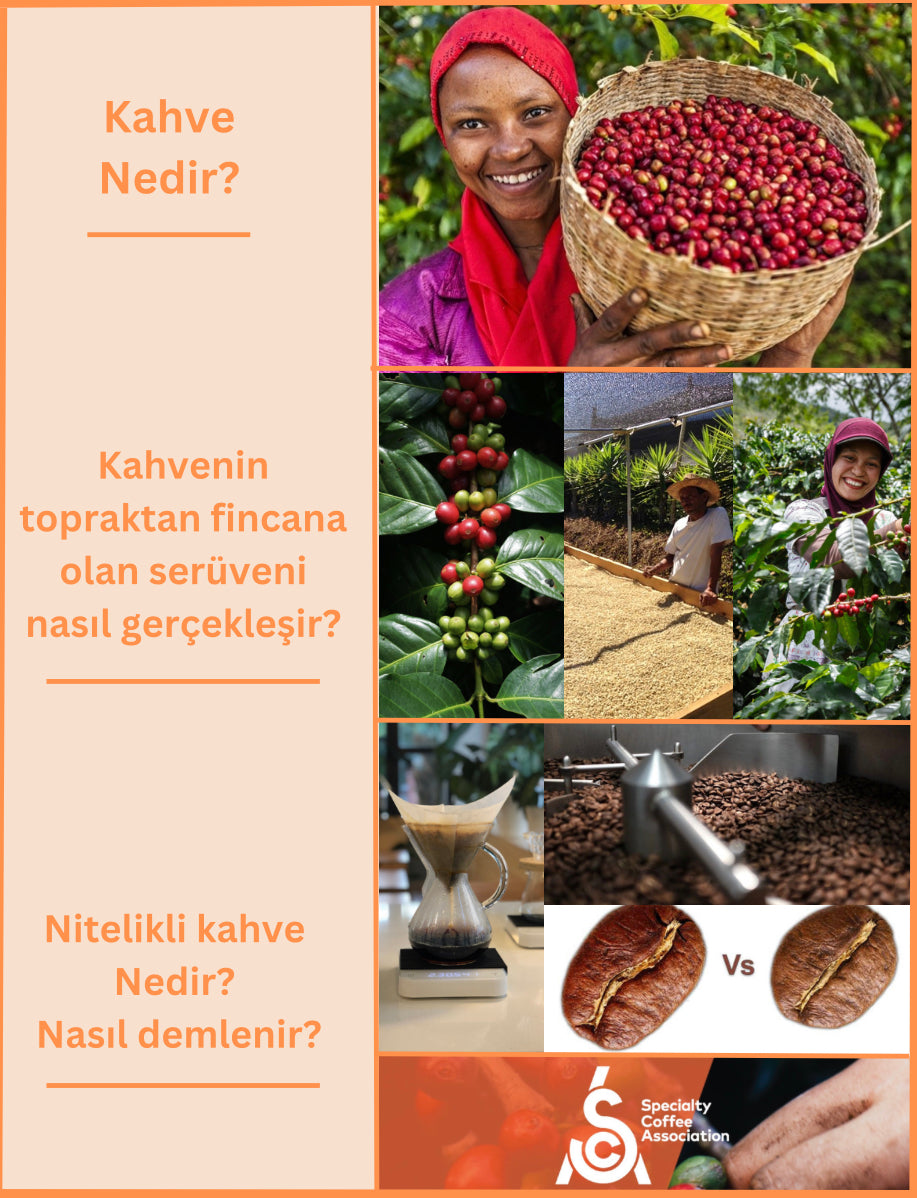 Workshop / Kahveye Giriş - Good Coffee Roastery - Suadiye